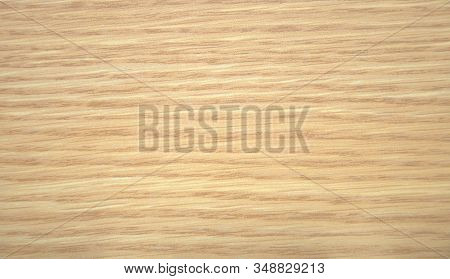 Birch, Light Natural Wood Texture Close-up On A Cut. Background. Close Up Shot.