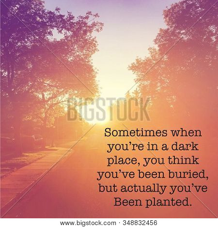 Sometimes When Youre In A Dark Place, You Think Youve Been Buried, But Actually Youve Been Planted.