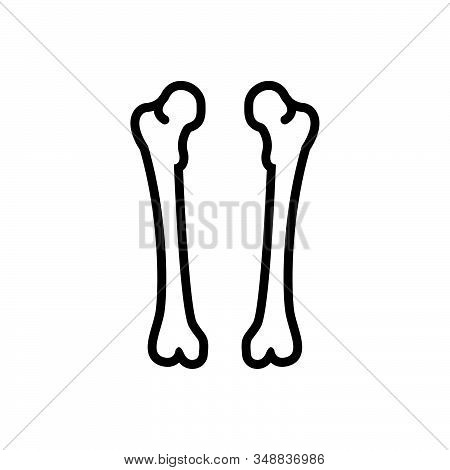 Black Line Icon For Femur Bone Calcuim Cartilage Epiphysis Orthopedic Physiology Skeleton