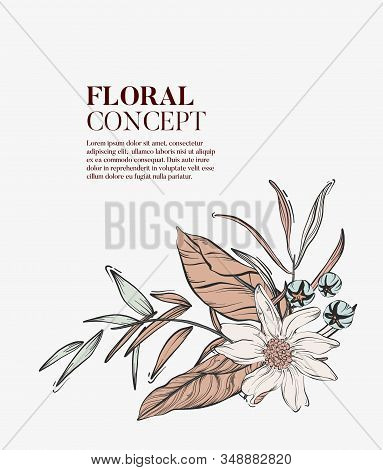 Wild Flowers Romantic Bouquet, Elegant Romantic Botanical Concept. Garden Floral Bloom With Outline 
