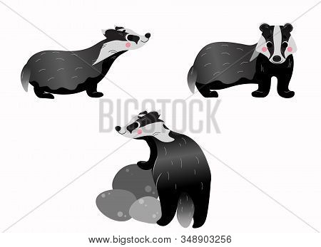 Cute Cartoon Wild Brocks Vector Set. Badgers In Different Postures. Forest Animals For Kids. Isolate