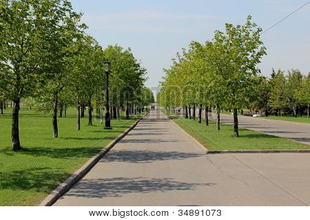 Parco della città