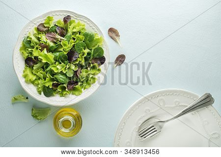 Healthy Green Salad Meal With Fresh Vegetables On Blue Table Background