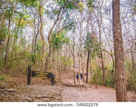 Loei/thailand-16 Feb 2019:unacquainted People Trekking To The Top Of The Phu Kradueng Mountain Natio