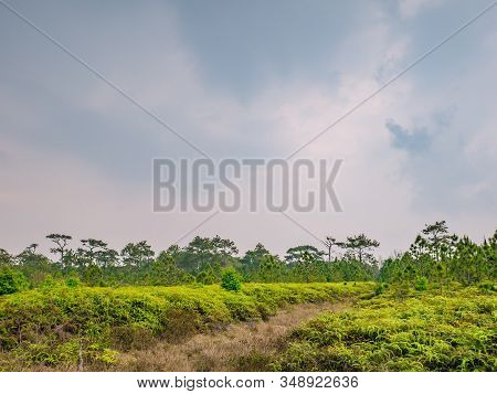 Beautiful View On Phu Kradueng Mountain National Park In Loei City Thailand.phu Kradueng Mountain Na