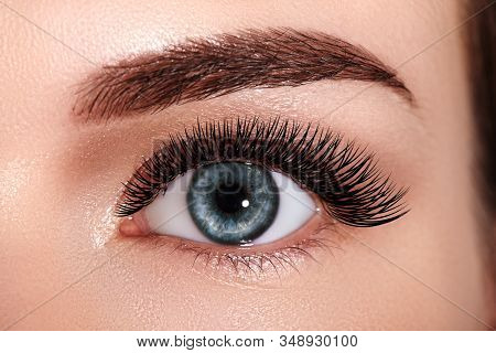 Beautiful Macro Female Eye With Extreme Long Eyelashes And Celebrate Makeup. Perfect Shape Make-up,
