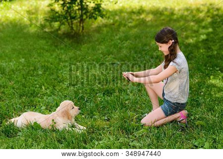 Taking A Photo Of Dog, A Beautiful Neb Of Her Golden Retriever Puppy