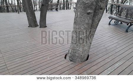 Various Benches And Small Architectural Forms In Park