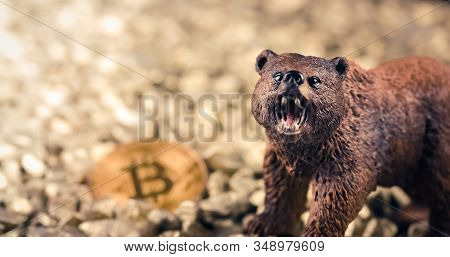 Bearish Bitcoin Price Drop Concept. Bear Market And Loosing Value On Digital Gold