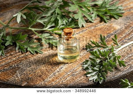 A Bottle Of Wormwood Essential Oil With Fresh Artemisia Absinthium Leaves On A Table