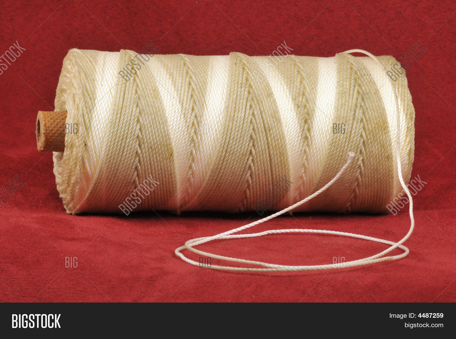 Image Preview