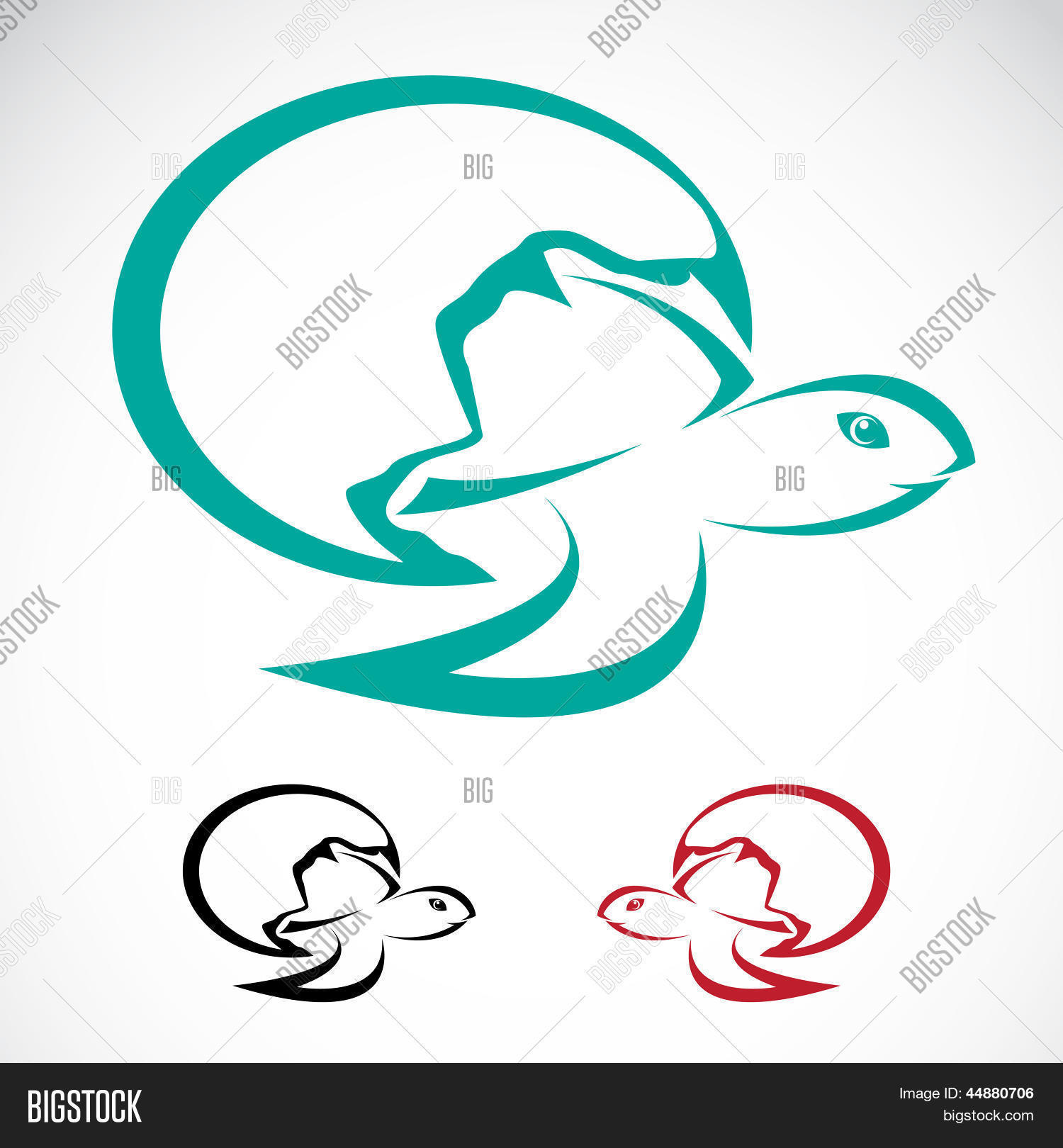 Image Preview