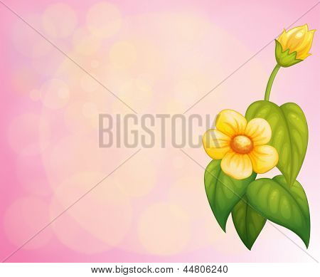 Illustration af en lyserød brevpapir med en gul blomst