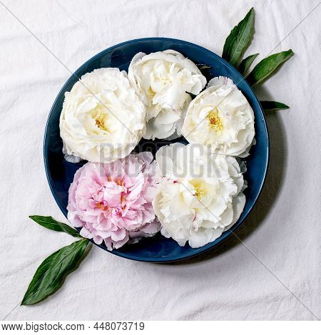 Pink And White Peonies Flowers With Leaves