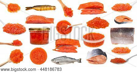 Set Of Various Salmon Fishes And Red Roes Isolated On White Background