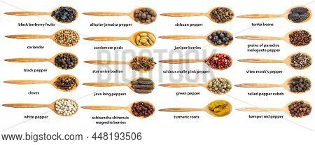Set Of Top View Of Wood Spoon With Various Spices With Names Isolated On White Background