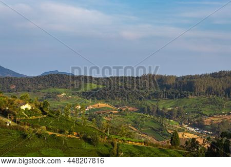 Tea Gardens In The Foothills Of Western Ghat Image Take At India. The Landscape Is Amazing With Gree