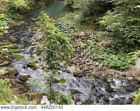 Protected Landscape Of The Small River Kamacnik In Gorski Kotar - Vrbovsko, Croatia (zaštićeni Krajo