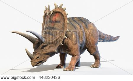 3d rendered illustration of a Pentaceratops