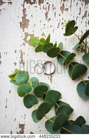 Wedding Rings On A White Table With Old Eucalyptus Twig, Close-up