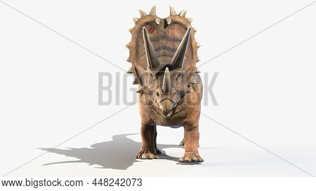 3d rendered illustration of a Pentaceratops