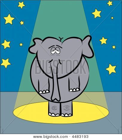 Éléphant sous le feu des projecteurs.