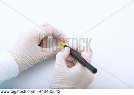 The Nurse Signs A Test Tube With Blood. Delivery Of Tests. A Test Tube With Blood In The Hands Of A 