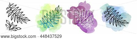Set Tropical Leave On Watercolor Blot. Provence Illustration. Laurel Leave
