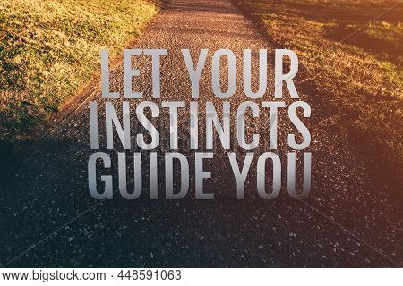 Let Your Instincts Guide You Motivational Quote On Footpath Along The Park, Selective Focus