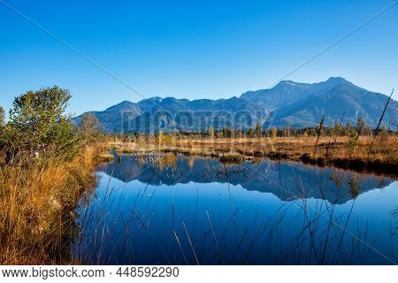 Kendlmuehlfilz Near Grassau, An Upland Moor In Southern Bavaria, Germany In Europe