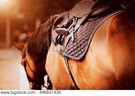 The Bay Horse Is Wearing A Leather Saddle, A Dark Saddlecloth And A Stirrup On A Sunny Day. Equestri