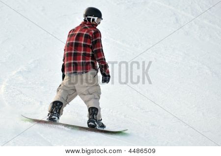 Snow Boarder Plaid