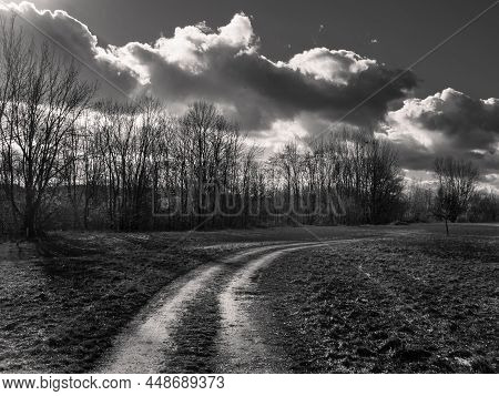 Filed Track And Bare Trees On A Winter Day In The Mostviertel Region Of Lower Austria