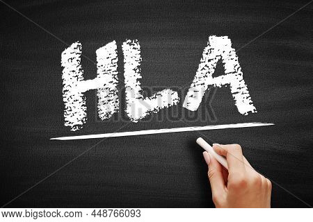 Hla Human Leukocyte Antigen - Complex Of Genes On Chromosome 6 In Humans Which Encode Cell-surface P
