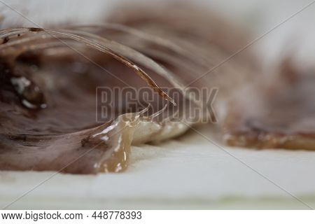Meat And Bones Of Fresh Herring For A Delicious Dish, Carve Fish