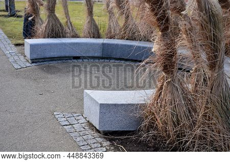 Japanese Tall Dry Grasses For The Winter Tied In Sheaves. In The Arch Of The Flowerbed Surround The 