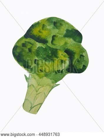 Fresh Watercolor Broccoli Green Vegetabe Nature Icon