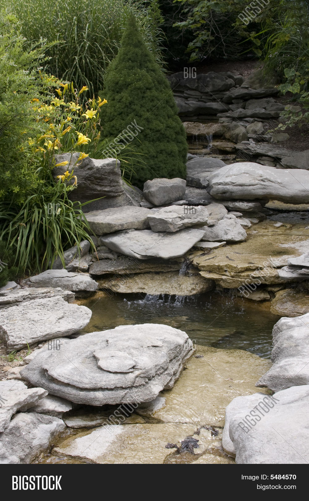 Vertical Water Garden Image & Photo (Free Trial) Bigstock