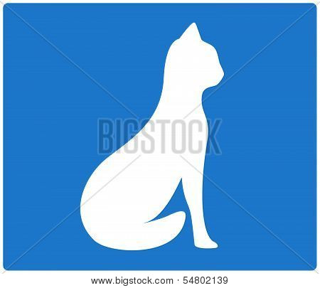 Blue background with cat image