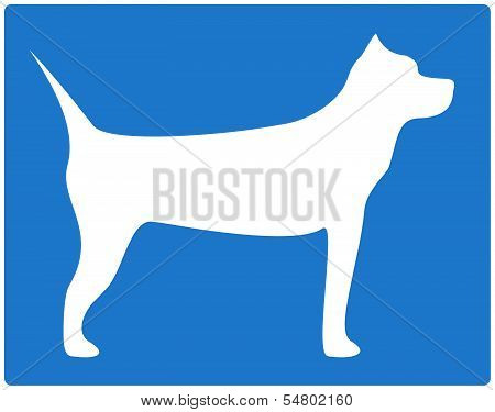 pit bull terrier image