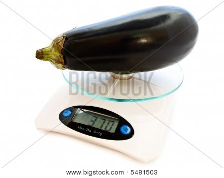 계란 공장 규모