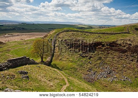 Sycamore Gap On Hadrian's Wall