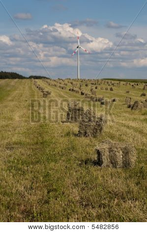ВЭС в зеленых полей