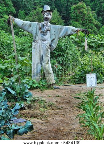 Scarecrow
