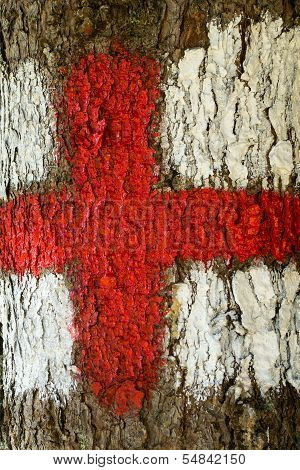 Tourist path mark on a tree
