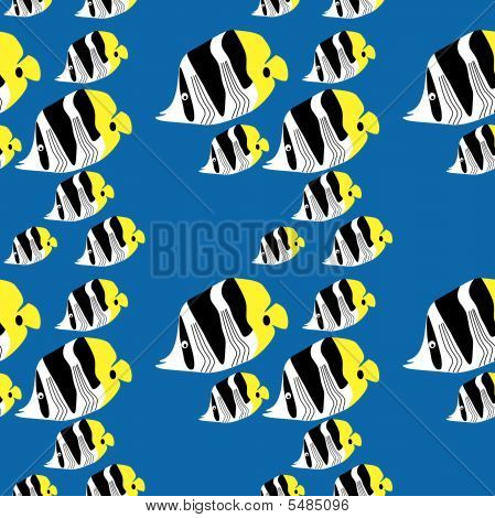 Vzor bezešvé Butterfyfish
