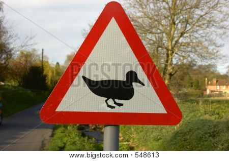 Duck Crossing Sign