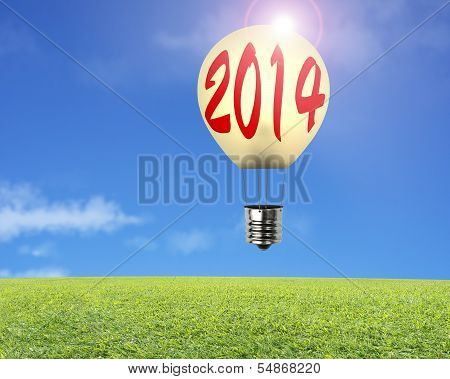 Single Lamp Balloon With 2014 Word On It, Meadow, Sky