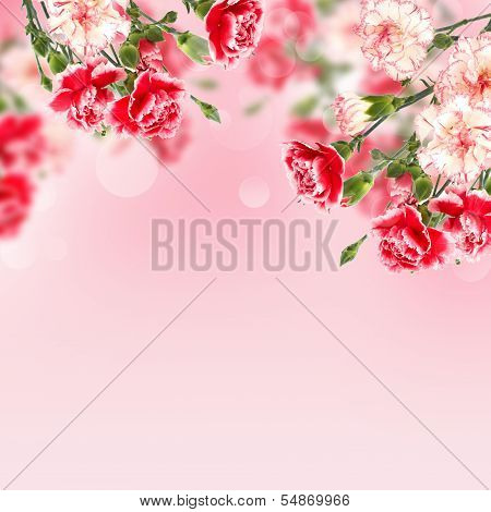 Postcard With Elegant  Flowers And Empty  Place For Your Text