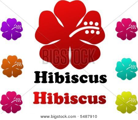 Hibiscus